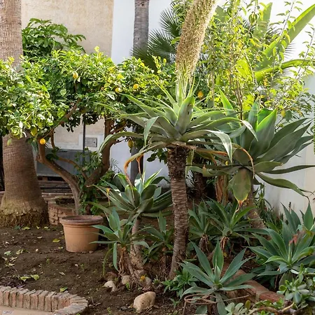 Oasis Villa